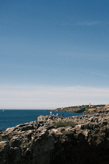 Debbie Farrell tweet media