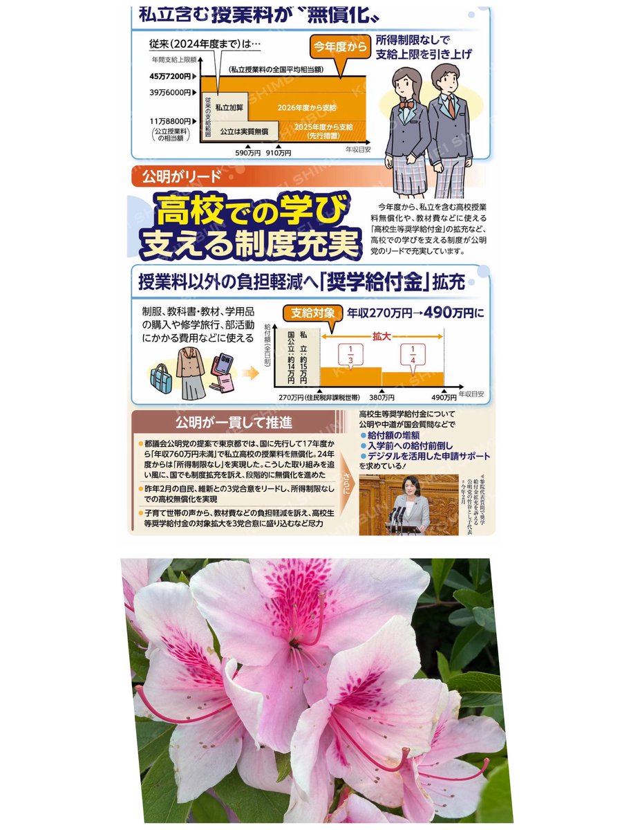 岩瀬まり【松戸市議会議員】🌹 tweet media