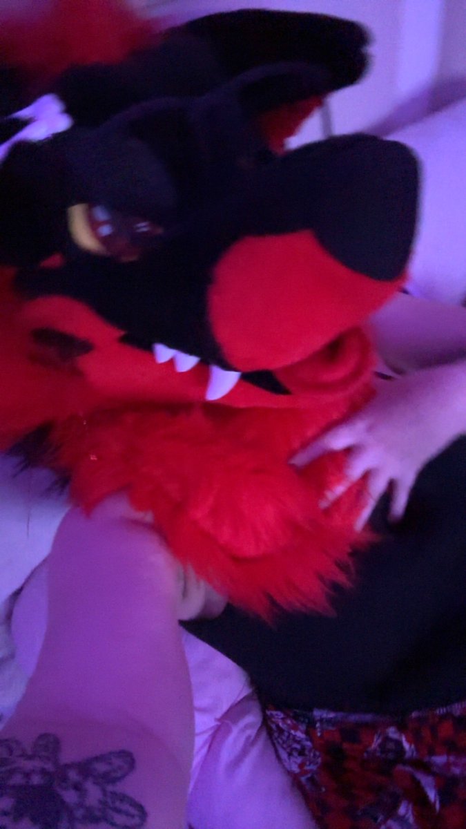 ⚠︎𝑺𝒊𝒍𝒂𝒔⚠︎ tweet media