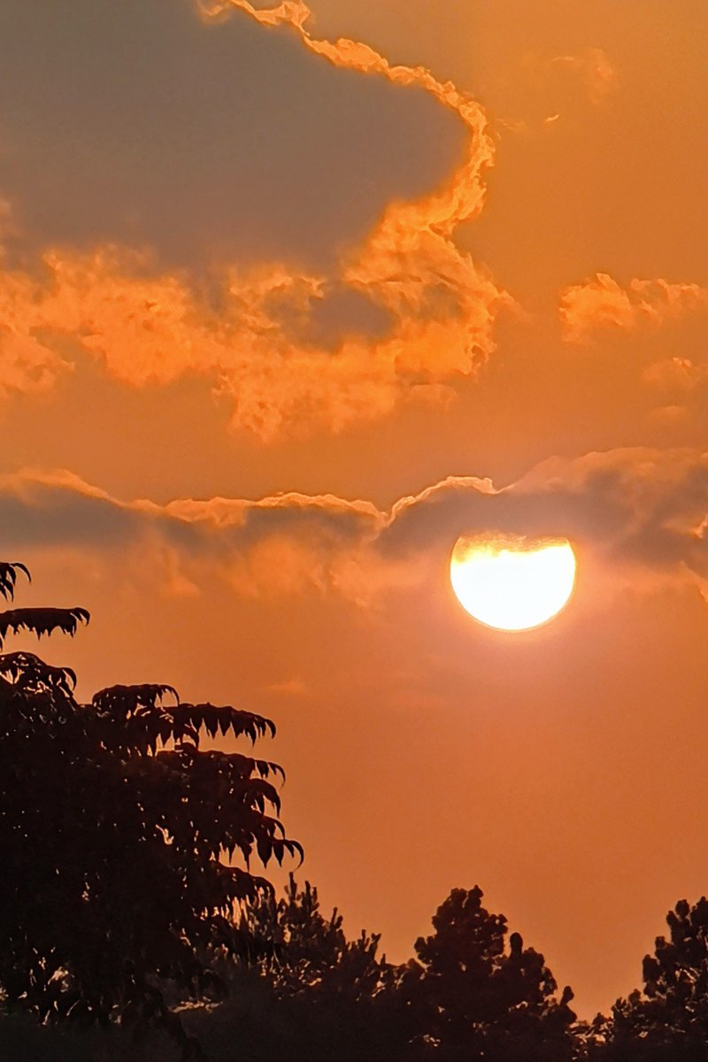 miriam lizette bravo tweet media