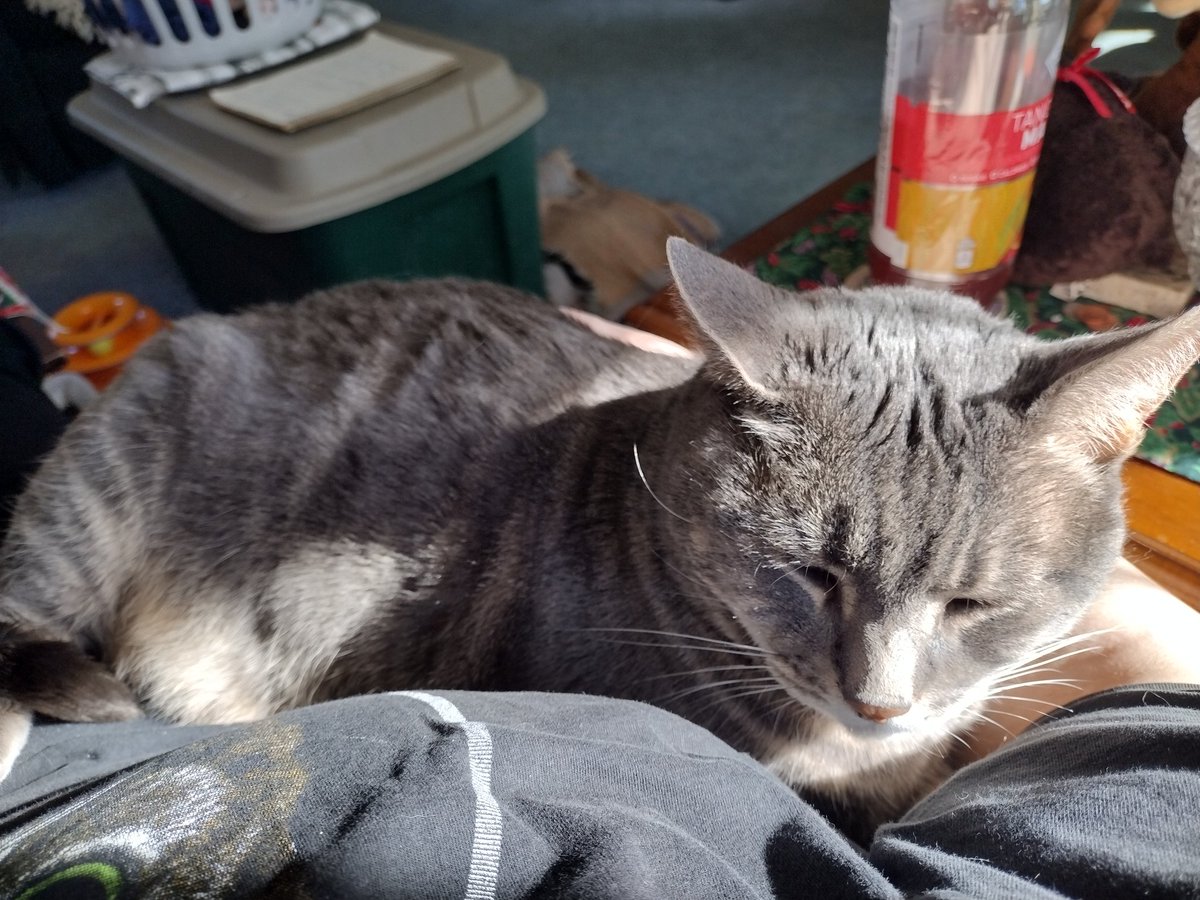 Now I'm Just Some Twat w/ Tweetability tweet media