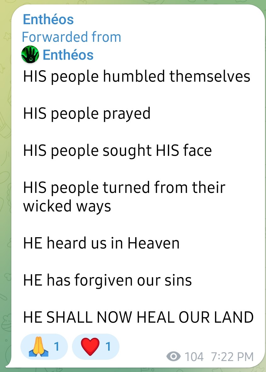 Raiden 💚 🇺🇲 🦅 tweet media