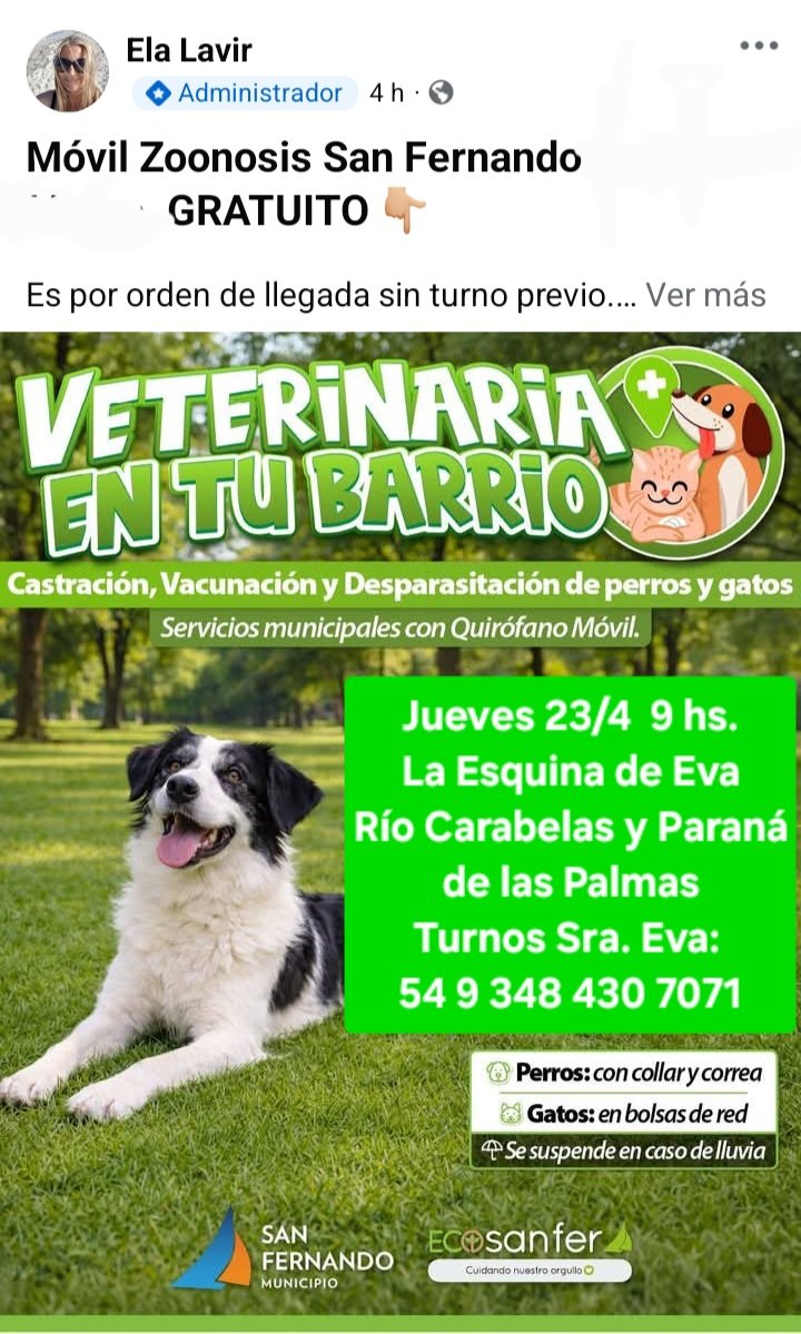 protegealanimal's tweet image. SAN FERNANDO
#SANFERNANDO #BARRIOSANJORGE #BARRIOMILVIVIENDAS #BARRIOFATE #VIRREYES #ISLAS #PRESIDENTEPERÓN #VILLADELCARMEN #BARRIOCARUPÁ #BARRIOALSINA #SANJORGE #PLAZAINFICO #AVIACIÓN #DELTA #SANJOSÉ #VICTORIA #ZONANORTE #BSAS #BUENOSAIRES
Consultas: zoonosis@sanfernando.gov.ar