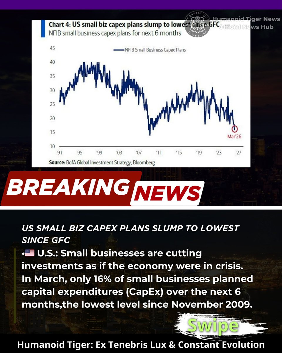 _htcnews's tweet image. Humanoid Tiger News
Official News Hub.

Meet our ecosystem:

🔗beacons.ai/humanoidtiger

#NFTs #NFTProject #NFTCollection #OpenSeaNFT #OPENSEA #Bitcoin   
#cryptocurrency #CryptoNews #ethereum #altcoins #altcoinseason #trump