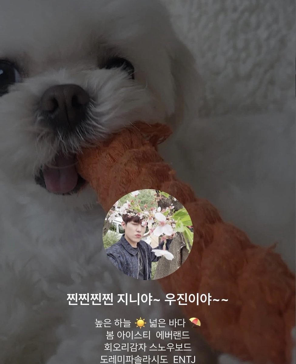 윈모스누나 tweet media