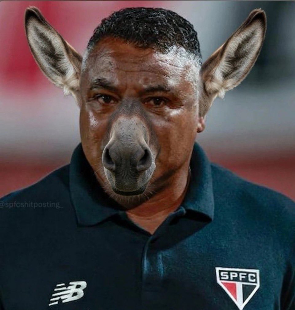 pcribeiiro's tweet photo. @SaoPauloFC #foraruicosta https://t.co/2lFs1aa6ZQ