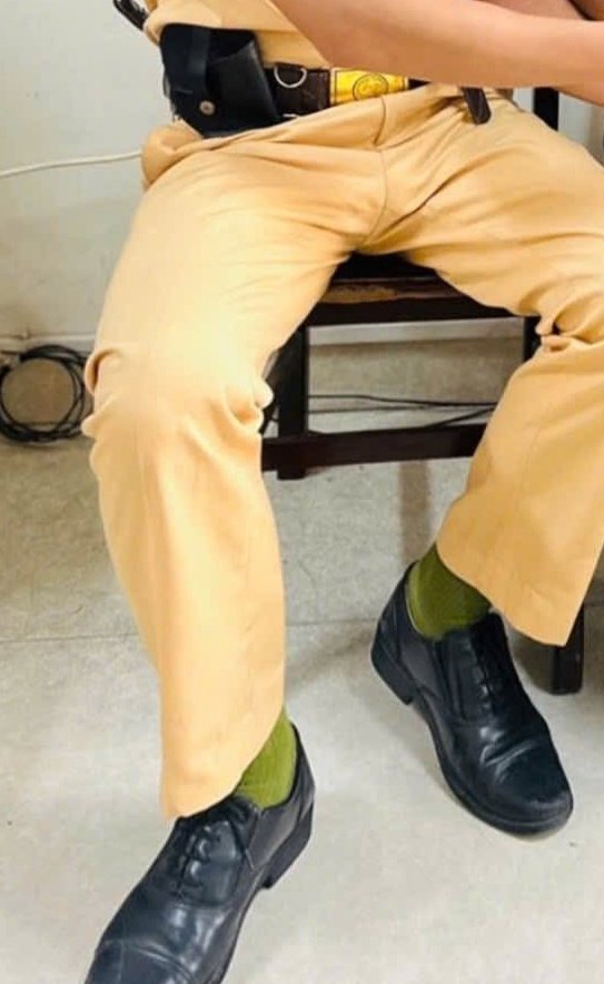 Phong Hoàng tweet media