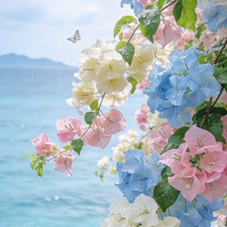 ☆ ACCOUNT PROMOSI tweet media