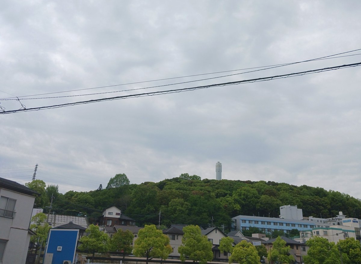 ムビサポQ┊︎映像制作 tweet media