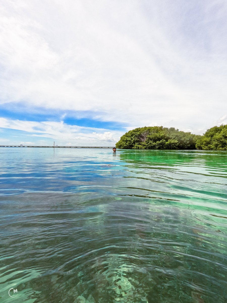 GarbyLaMula! tweet media