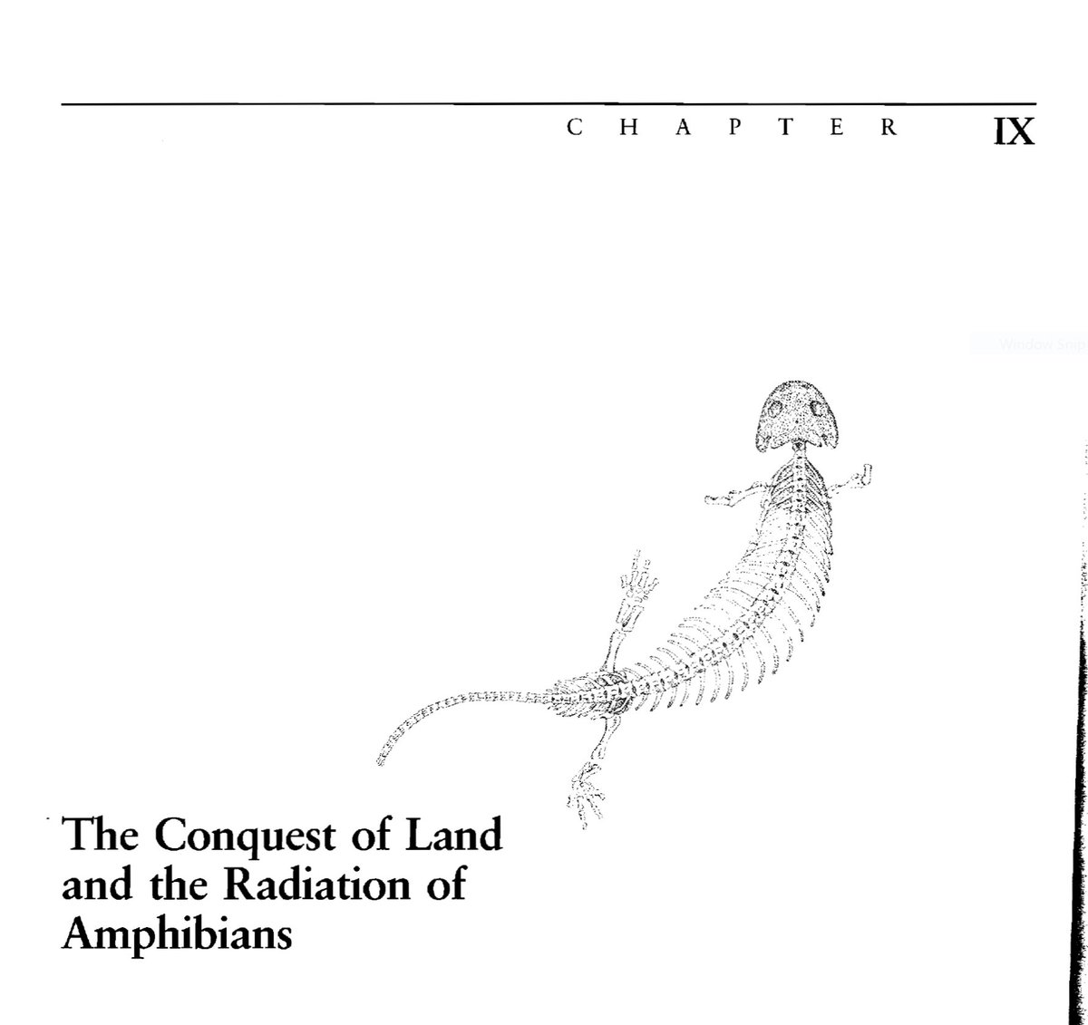 Bk00008's tweet photo. New chapter!!! New journey, finally I will study about the amphibians!!
#paleontology https://t.co/2wn4lXmtOR