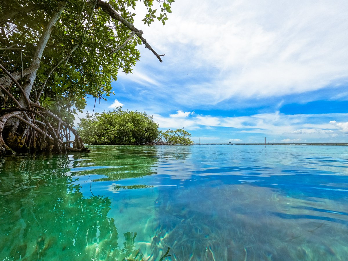 GarbyLaMula! tweet media