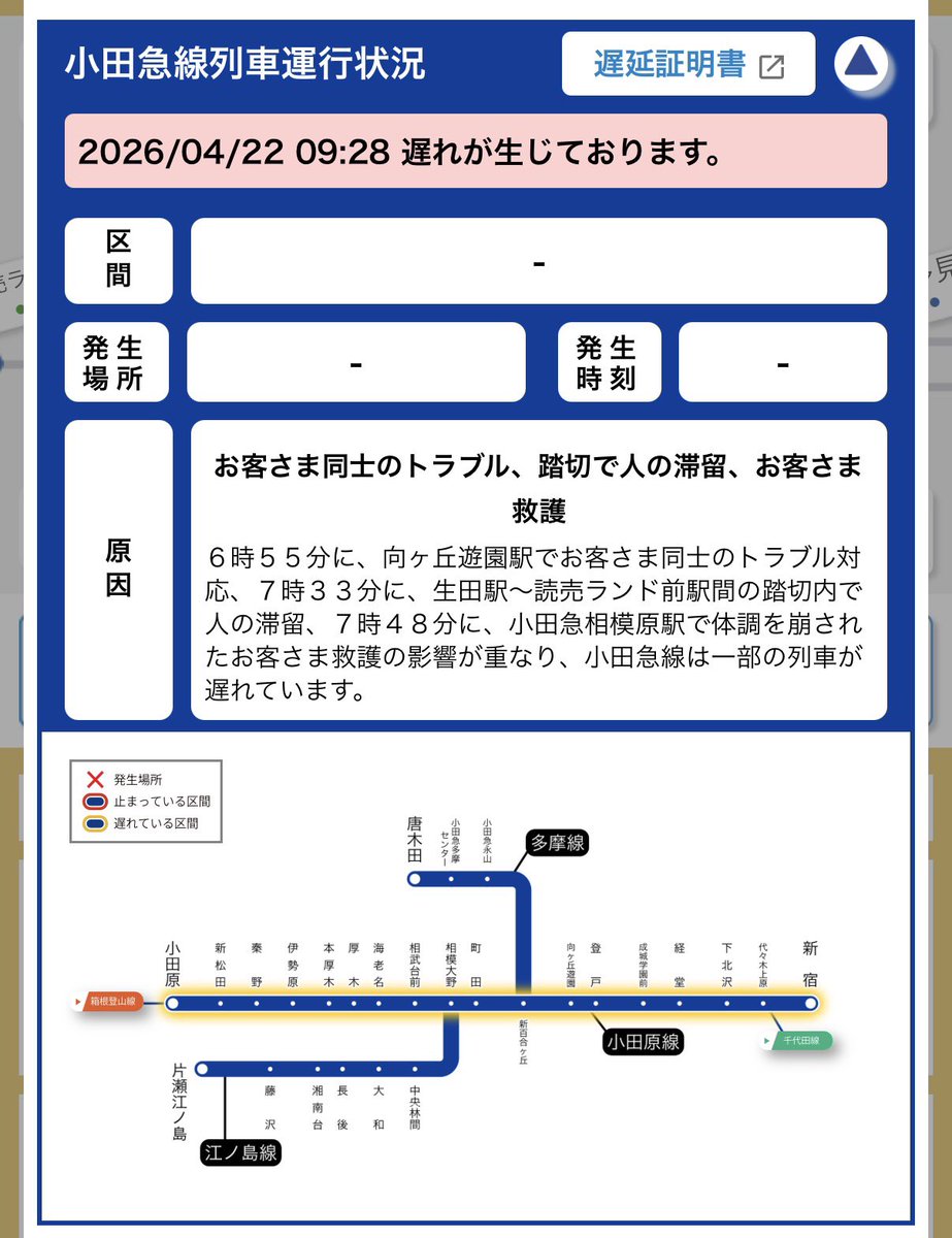 稲田丁💡 tweet media