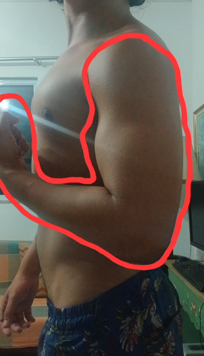 Huguinhosinho's tweet photo. Meus ombros estão mó paia ;-;
#ombros #calistenia #shape #brotheragem #novinho https://t.co/Ff9leuDlHz