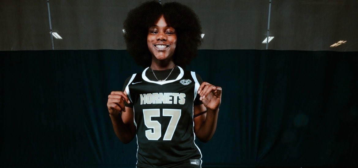 Carolina Hornets United tweet media