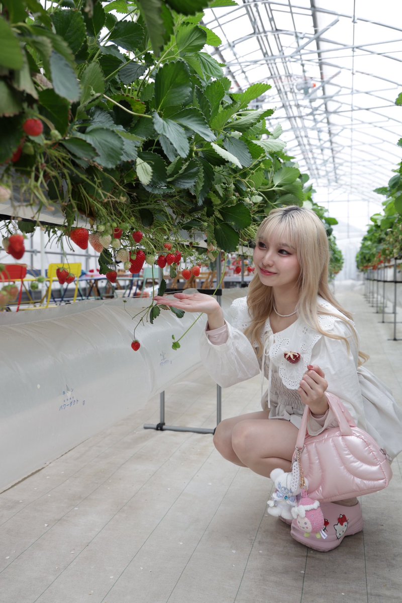 ANNA🍓あんころ tweet media