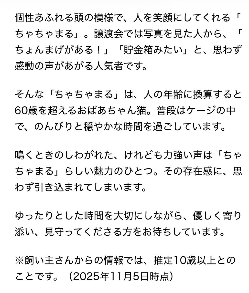 愛護センターに個性がキラリなおばぁちゃんがいます。思わずクスッとしてしまう一本線。たくさんおしゃべりしてくれる、かわいい子でした。
良いご縁がありますように！

pref.hokkaido.lg.jp/ks/awc/inuneko…