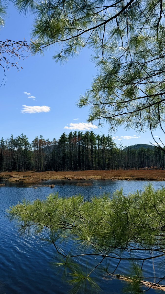 ▼ Kiel James Patrick tweet media