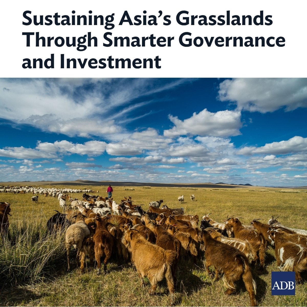 Development Asia tweet media