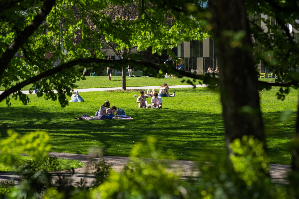 CallMeADuck's tweet photo. Sunny days in Eugene ☀️💚 https://t.co/kRS2YzJ0Ob
