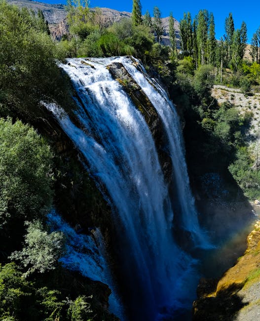 Jason Walton tweet media