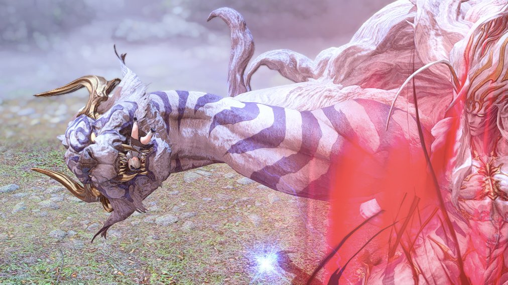 昨日「白虎に掴まれた時ララフェルひっくり返しになるよね」って言われて見てきた　可愛すぎる