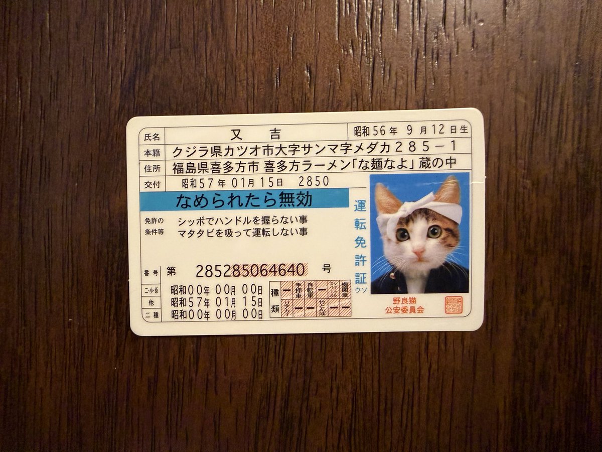 昭和の思い出グッズの中でも代表だと思うなめ猫の免許証 
