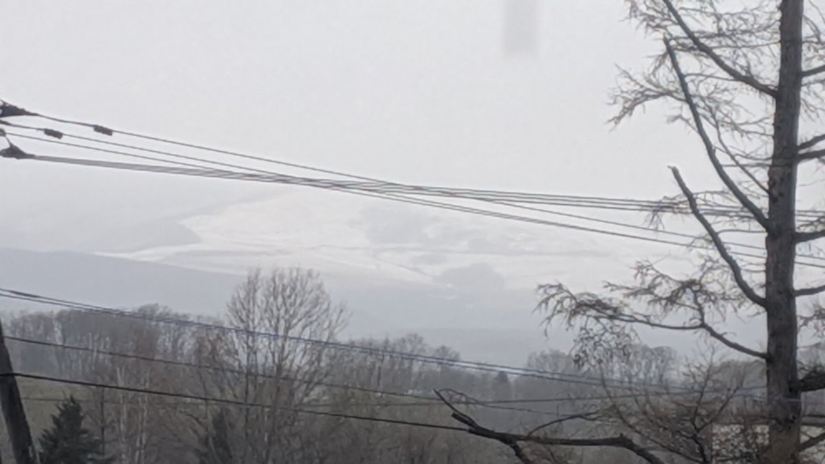 北海はいど tweet media