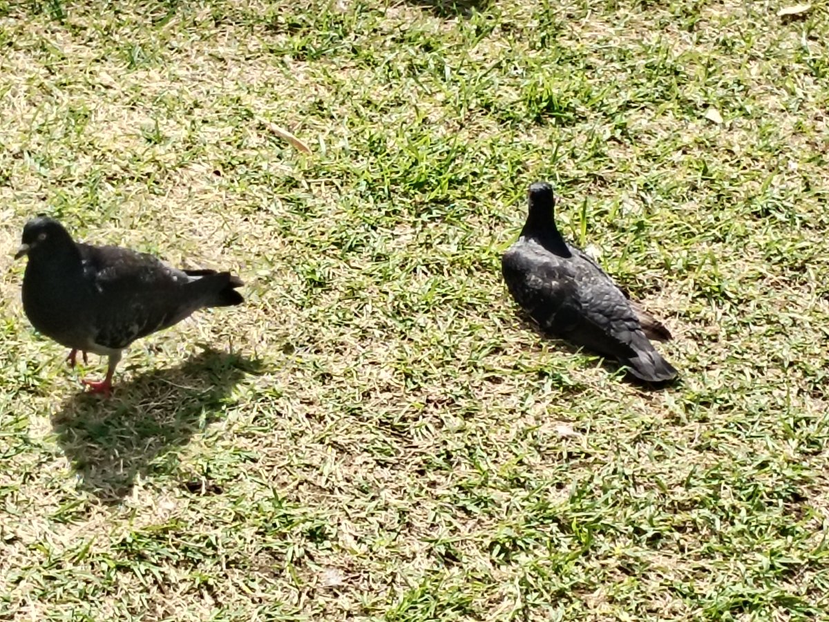 あやきち🌺 tweet media