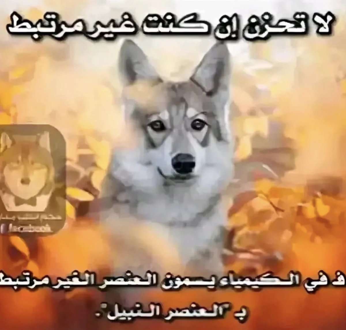 Abdullah tweet media