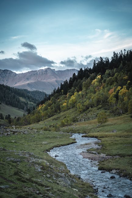 Joseph Brooks tweet media