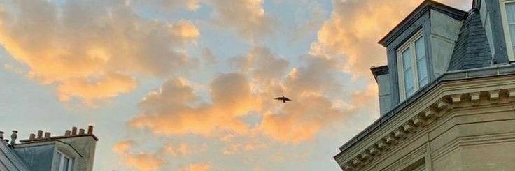 Airah Malik🎶 tweet media