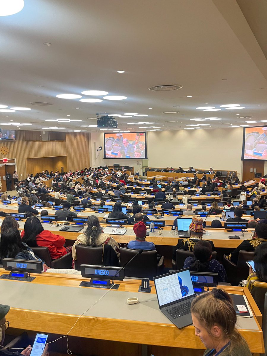 AfricanUnionUN's tweet image. "For #Indigenous Peoples, #health outcomes cannot be separated from broader structural determinants, including access to land, environmental conditions, #socioeconomic inclusion, and #cultural integrity. In recognizing this, the Commission through the Working Group on Indigenous