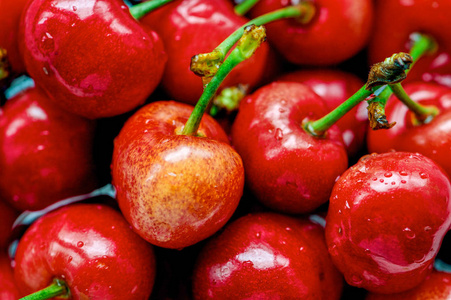 obiedbasha tweet media