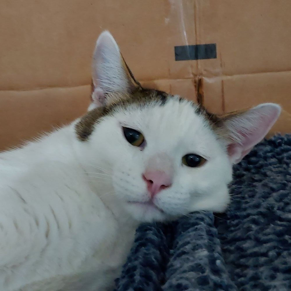 Diane Herridge 💜 tweet media