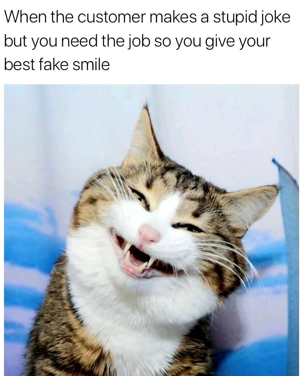 安德鲁 Andrew 🇦🇺🦘 tweet media