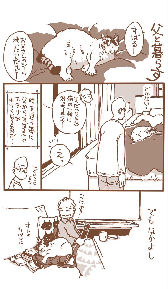 父と暮らす tweet media