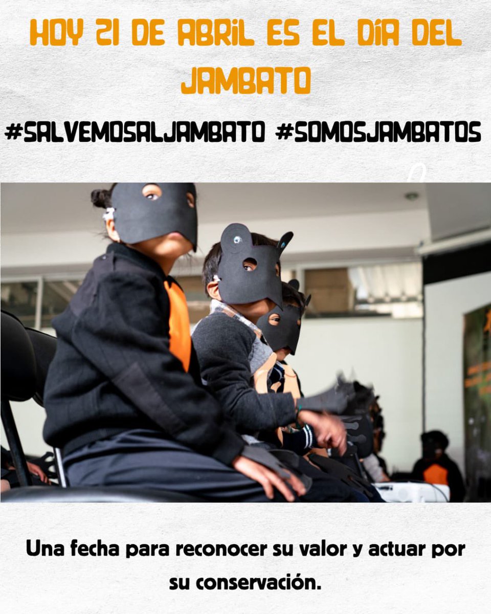 AlianzaJambato's tweet photo. El jambato es parte de nuestra identidad 🇪🇨🐸 y un símbolo cultural en Agamarca y todo el Ecuador. #SalvemosAlJambato #SomosJambatos https://t.co/7NUIAxE7WC