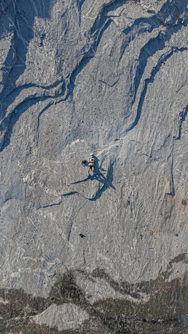 Kelly Ward tweet media