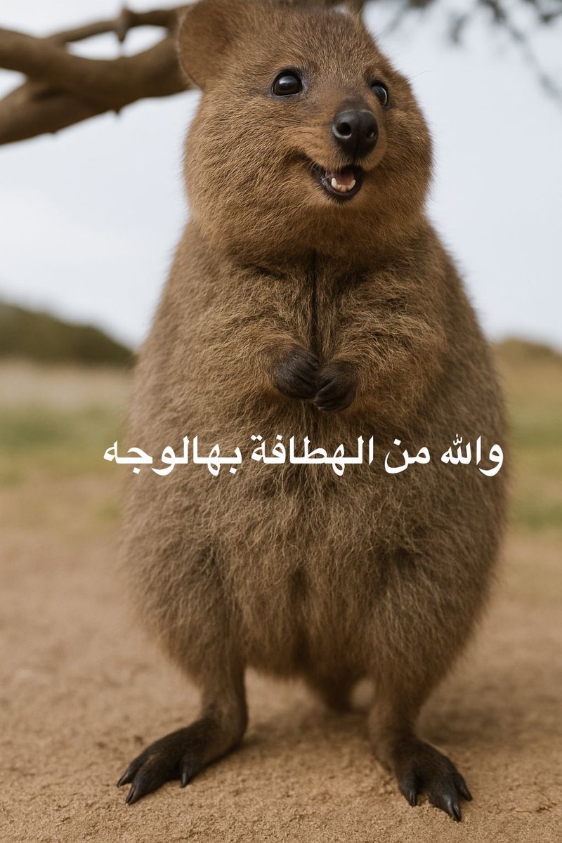 Post by طَـ 🇸🇦 on X: @Ne_zaha