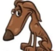 Tan ᴰᵁᴬᴸ🍊 tweet media