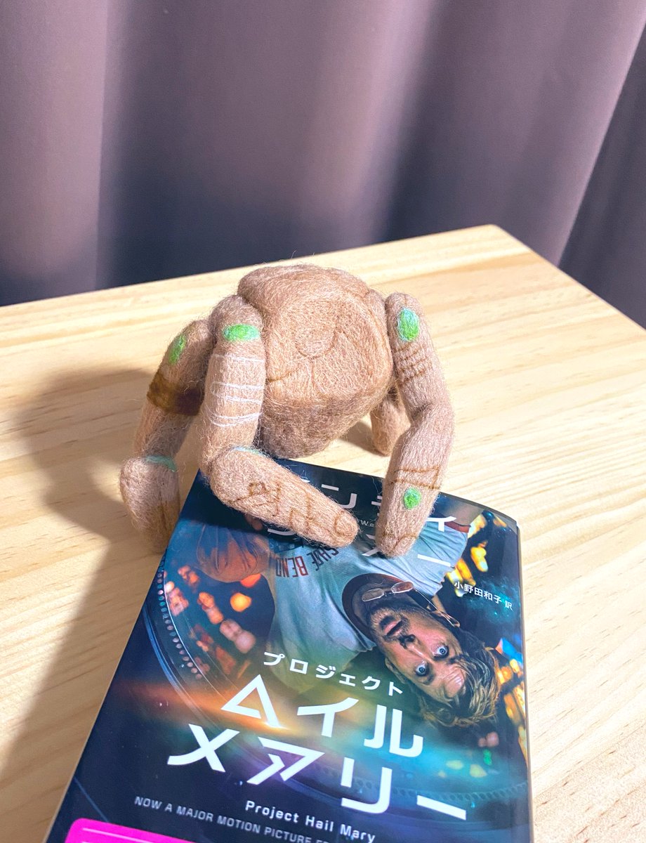 アモ🦙 tweet media