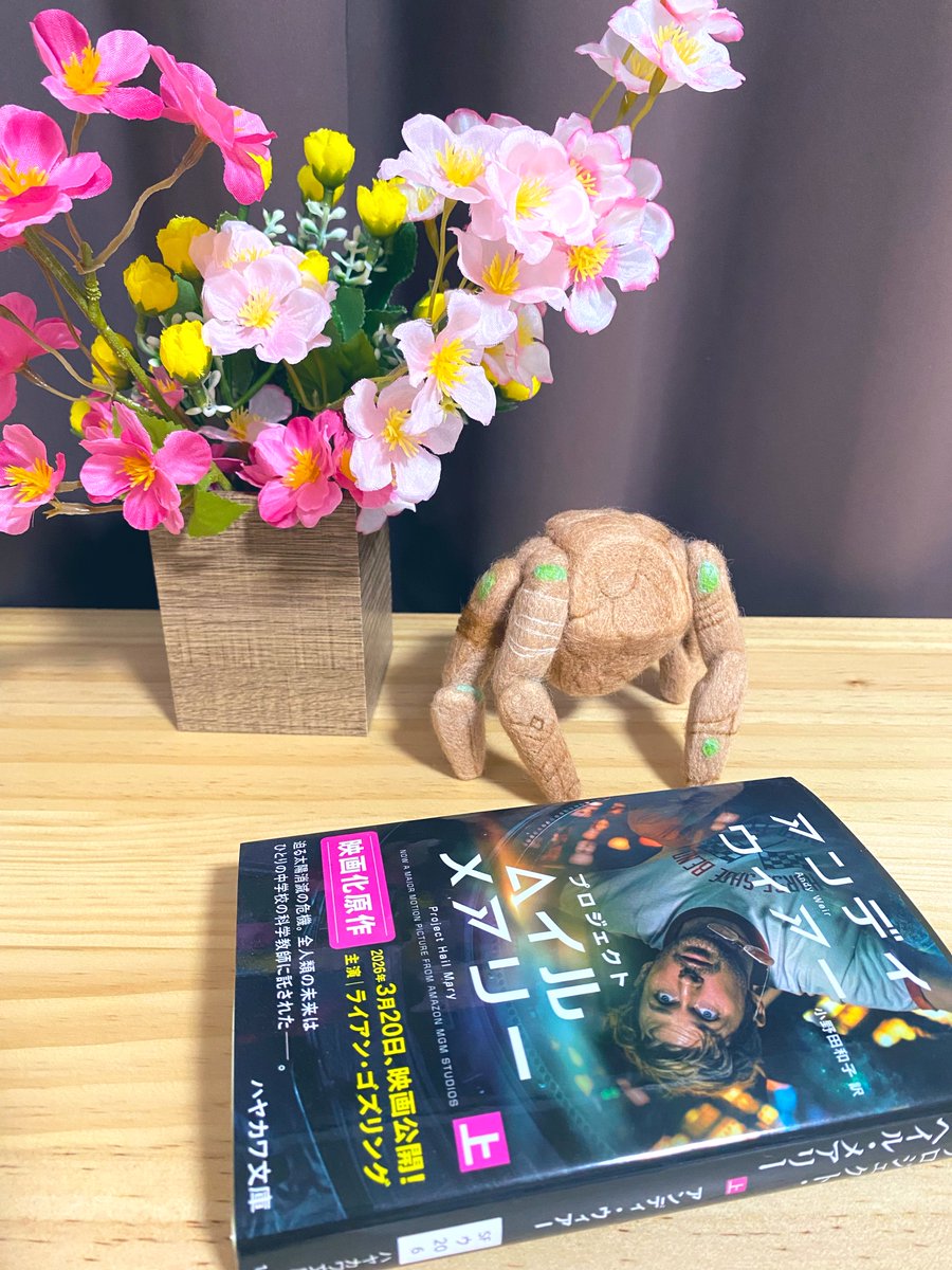 アモ🦙 tweet media