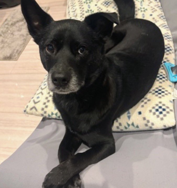 ヤスヒロ tweet media