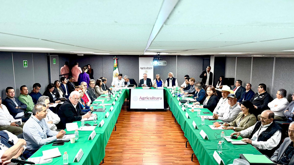 Julio Berdegué tweet media