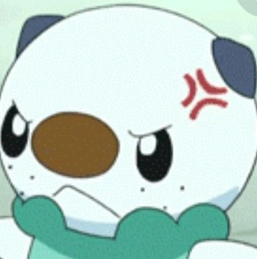 ﹄ 𝐇𝐎𝐍𝐄𝐘 𝐁𝐄𝐄﹃ tweet media