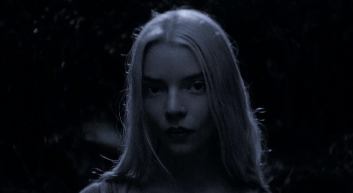 Film Updates tweet media