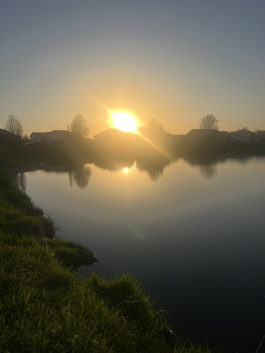 bigmattpaulsen's tweet image. Hello Tuesday afternoon! Got a nice walk in with the boss after work and then walk down around the pond a little bit just to check out the fishing situation. Vacation is coming very soon.!#JustKeepMoving #Inspire #MissBella #ThisIs61 #brooksrunning