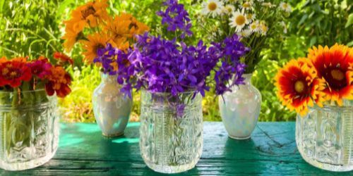 Planning a celebration that feels fresh, whimsical, and effortlessly beautiful? These wildflower party ideas will help you create a gathering bursting with charm. #springparty #wildflowers #wildflowerseason #creativepartyideas fluxingwell.com/wildflower-par…
