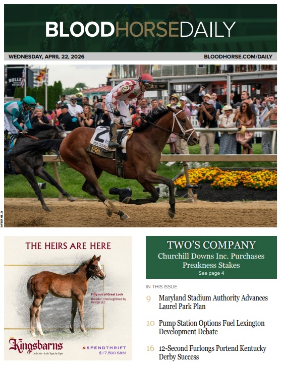 BloodHorse tweet media
